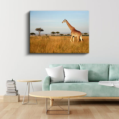 Safari Zürafası - Savana Yolculuğu Kanvas Tablo