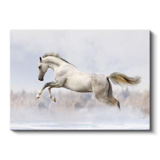 Sıçrayan Beyaz At - Zarif Hareket Kanvas Tablo