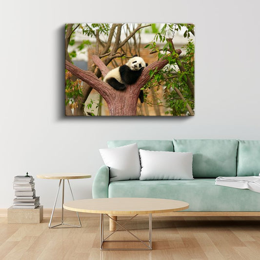 Uyuyan Panda - Ağaç Dalında Tatlı Mola Kanvas Tablo