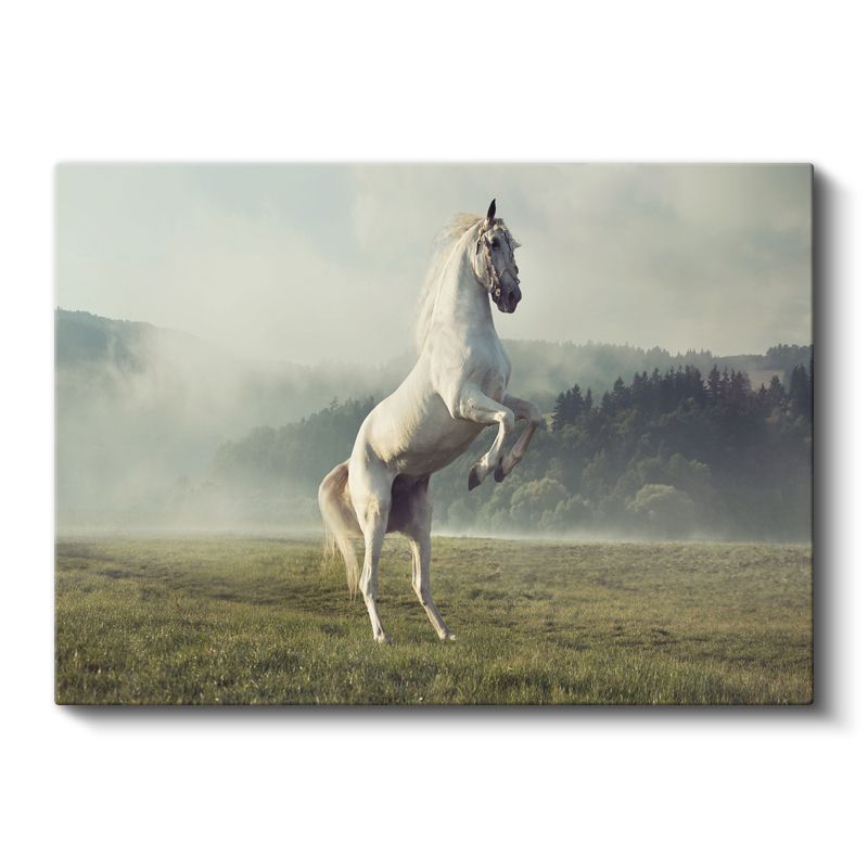 Şaha Kalkan At - Çayırda Özgür Ruh Kanvas Tablo