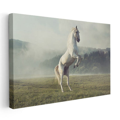 Şaha Kalkan At - Çayırda Özgür Ruh Kanvas Tablo