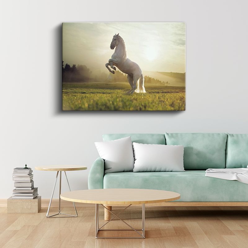 Beyaz Aygır - Gün Işığında Muhteşem Duruş Kanvas Tablo