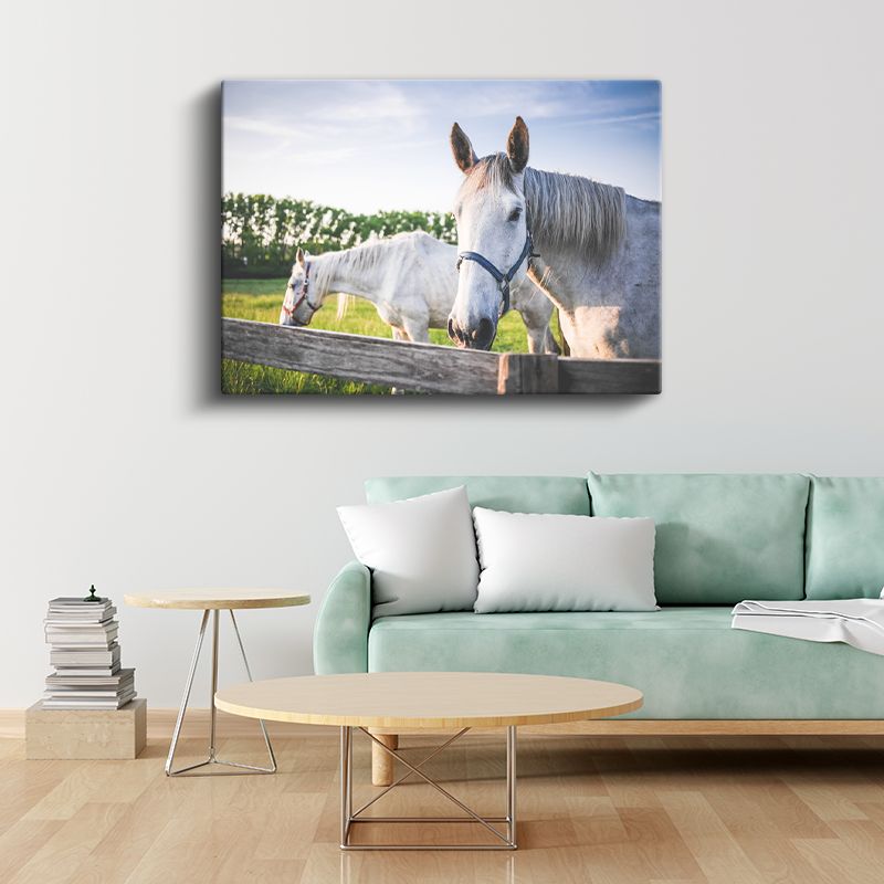 Beyaz Atlar - Çiftlik Yaşamından Dostluk Portresi Kanvas Tablo
