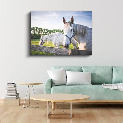 Beyaz Atlar - Çiftlik Yaşamından Dostluk Portresi Kanvas Tablo