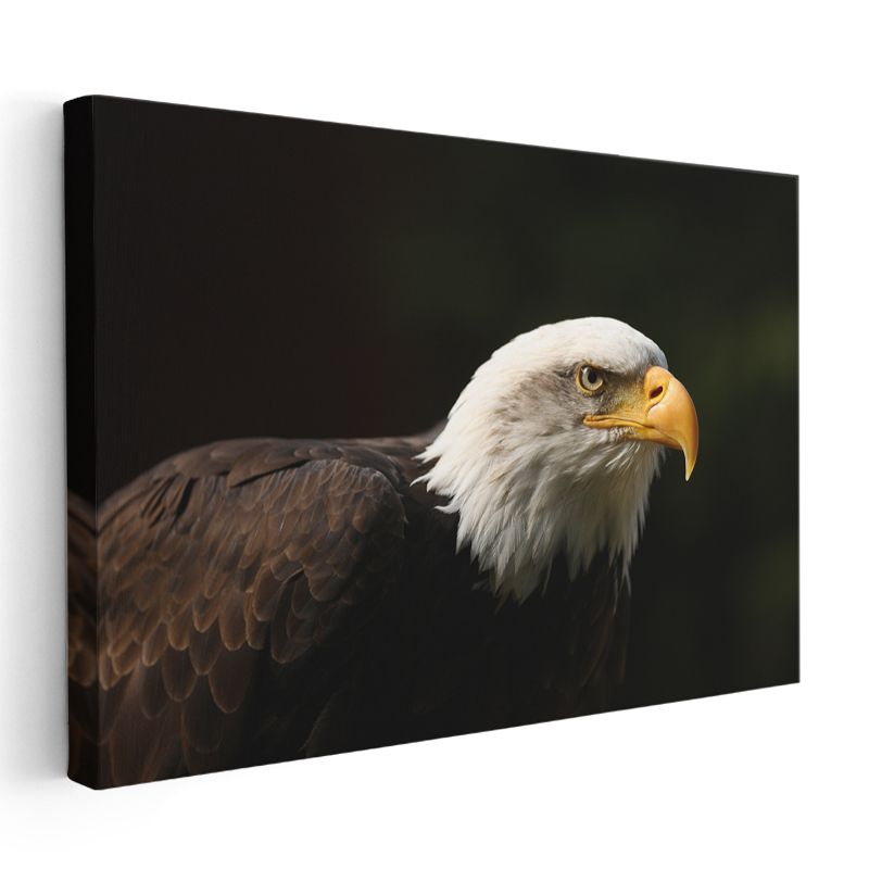 Amerikan Kartalı - Keskin Bakışlı Yırtıcı Kuş Kanvas Tablo
