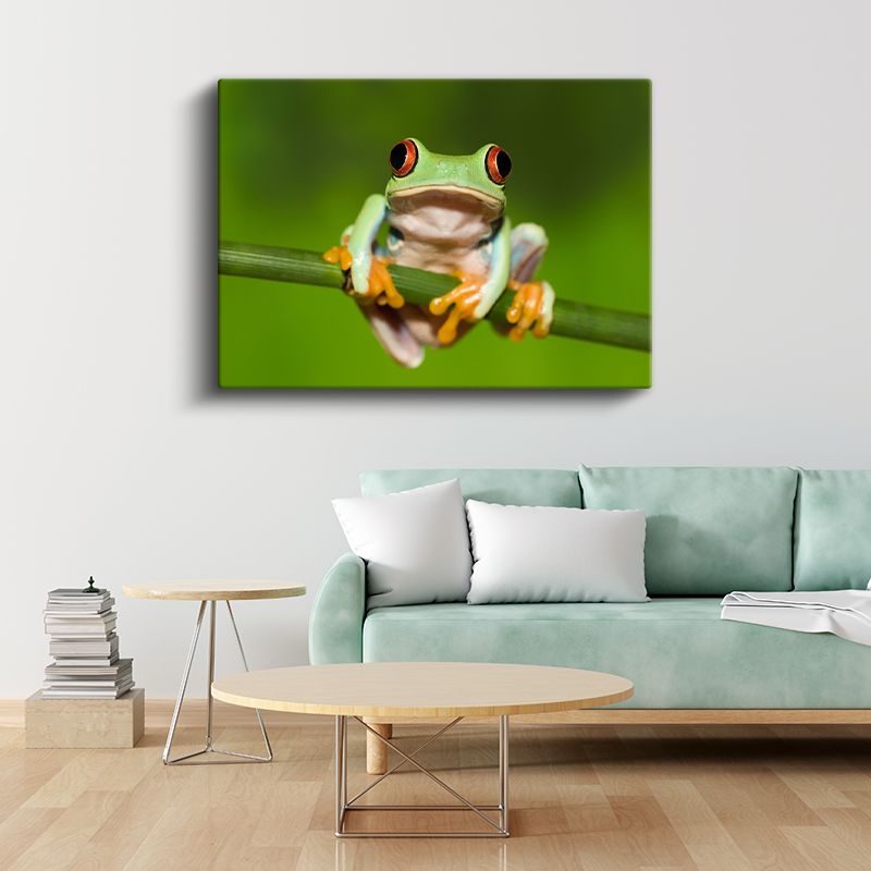 Ağaç Kurbağası - Renkli Gözlü Amfibi Portresi Kanvas Tablo