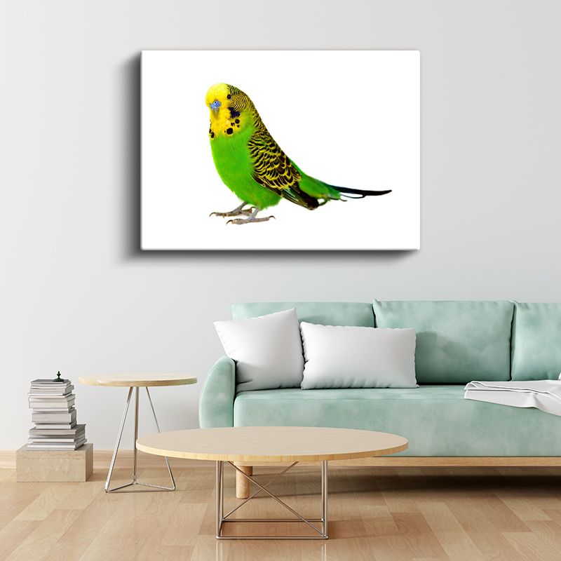 Yeşil Muhabbet Kuşu - Sarı Başlı Sevimli Kuş Kanvas Tablo