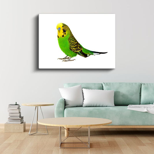 Yeşil Muhabbet Kuşu - Sarı Başlı Sevimli Kuş Kanvas Tablo