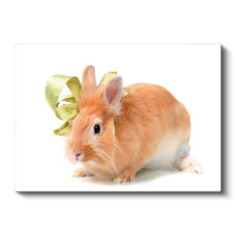 Turuncu Tavşan - Altın Kurdeleli Sevimli Dost Kanvas Tablo