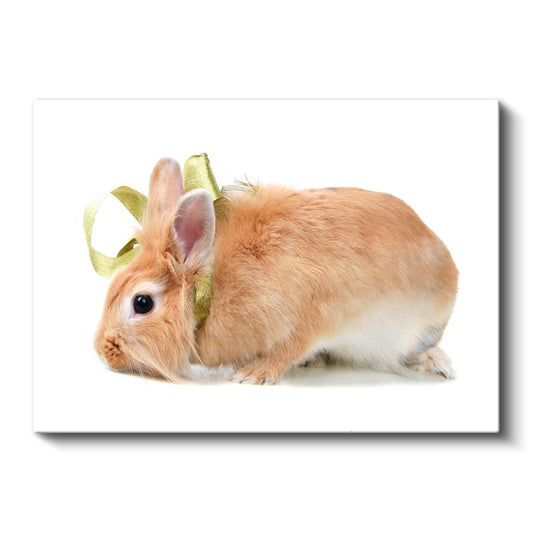 Turuncu Tavşan - Altın Kurdeleli Profil Portresi Kanvas Tablo
