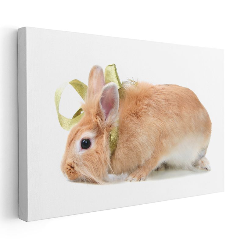 Turuncu Tavşan - Altın Kurdeleli Profil Portresi Kanvas Tablo