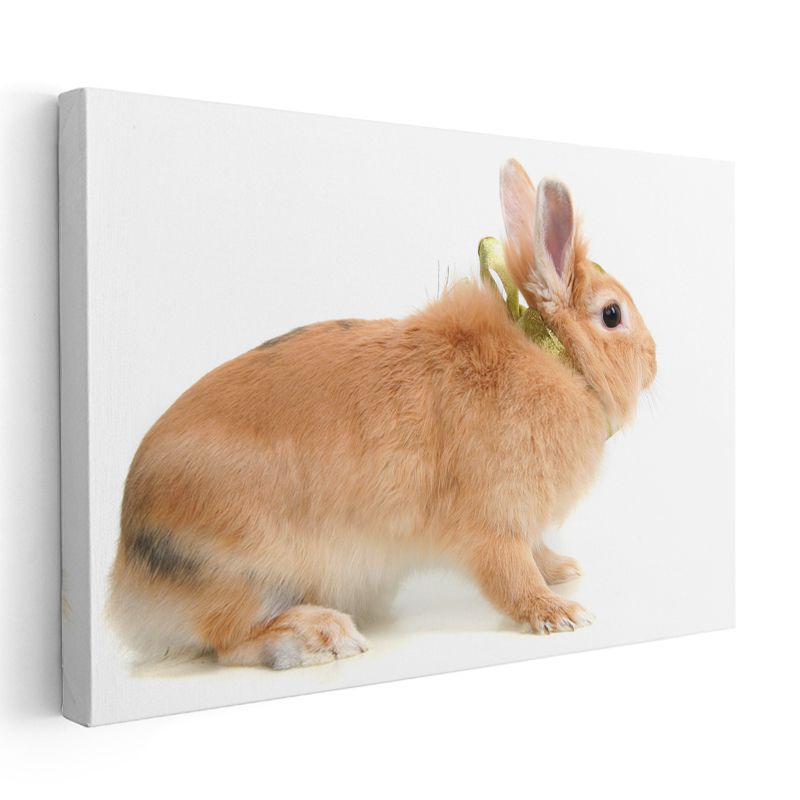Turuncu Tavşan - Altın Kurdeleli Yan Bakış Kanvas Tablo