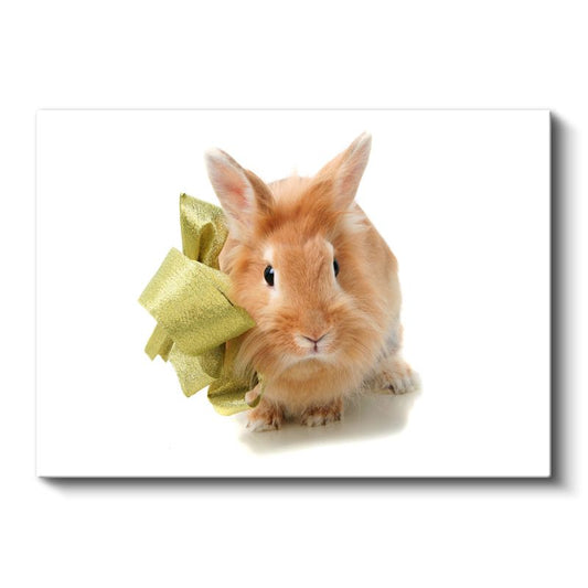Turuncu Tavşan - Altın Kurdeleli Ön Portre Kanvas Tablo