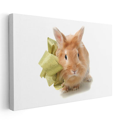 Turuncu Tavşan - Altın Kurdeleli Ön Portre Kanvas Tablo