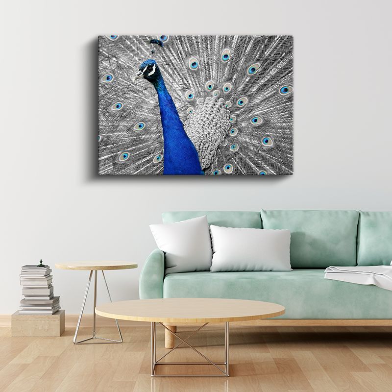 Mavi Tavus Kuşu - İhtişamlı Tüyler Gösterisi Kanvas Tablo