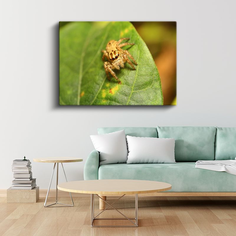 Atlayıcı Örümcek - Yaprak Üzerinde Mikro Avcı Kanvas Tablo