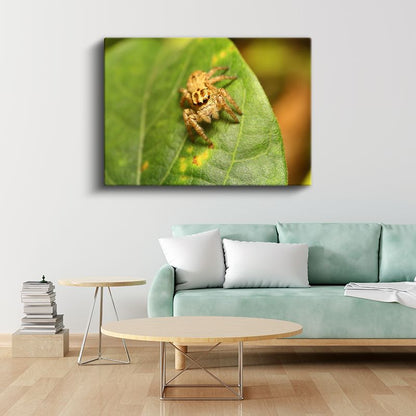 Atlayıcı Örümcek - Yaprak Üzerinde Mikro Avcı Kanvas Tablo