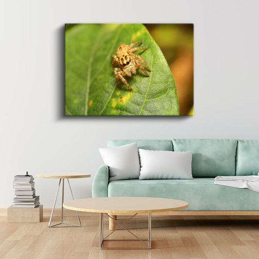 Atlayıcı Örümcek - Yaprak Üzerinde Mikro Avcı Kanvas Tablo