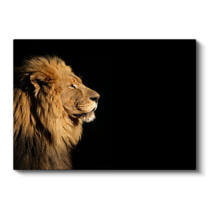Aslan Profili - Karanlıkta Ormanlar Kralı Kanvas Tablo