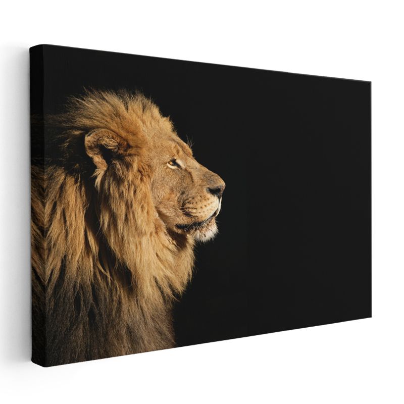 Aslan Profili - Karanlıkta Ormanlar Kralı Kanvas Tablo