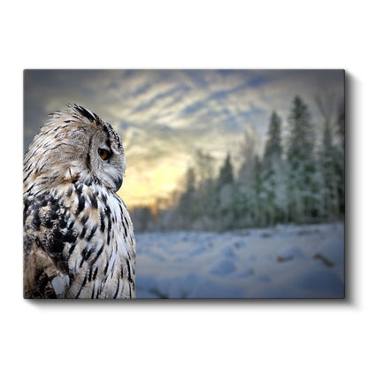 Kar Baykuşu - Kış Manzarasında Bilge Bakış Kanvas Tablo