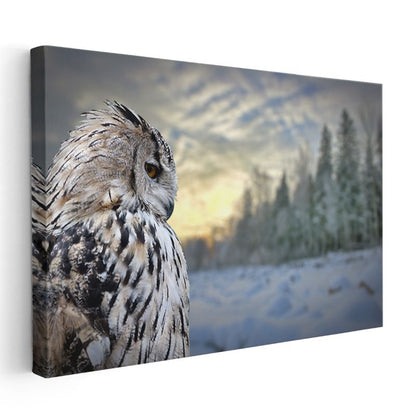 Kar Baykuşu - Kış Manzarasında Bilge Bakış Kanvas Tablo