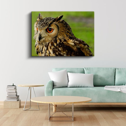 Puhu Baykuşu - Turuncu Gözlü Yırtıcı Kuş Kanvas Tablo