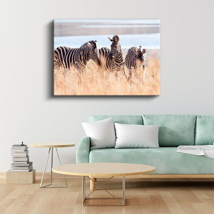 Zebra Üçlüsü - Savana Otlarında Çizgili Güzellik Kanvas Tablo