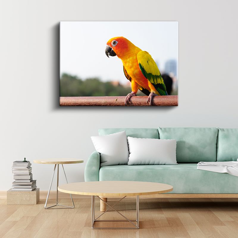 Güneş Papağanı - Renkli Tropik Kuş Portresi Kanvas Tablo