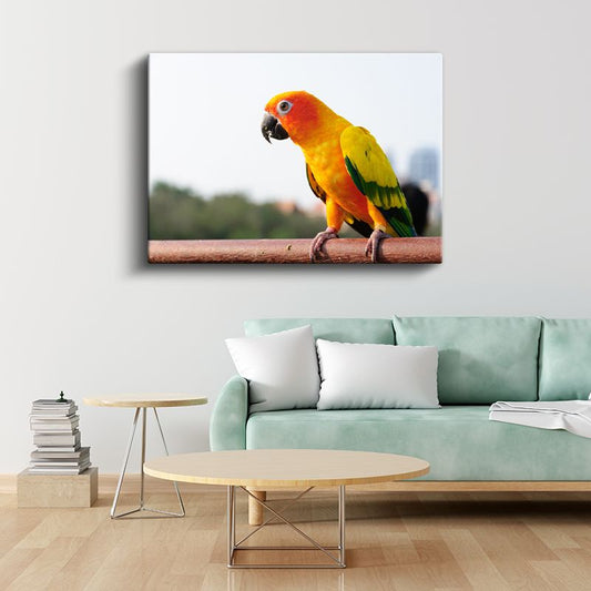 Güneş Papağanı - Renkli Tropik Kuş Portresi Kanvas Tablo