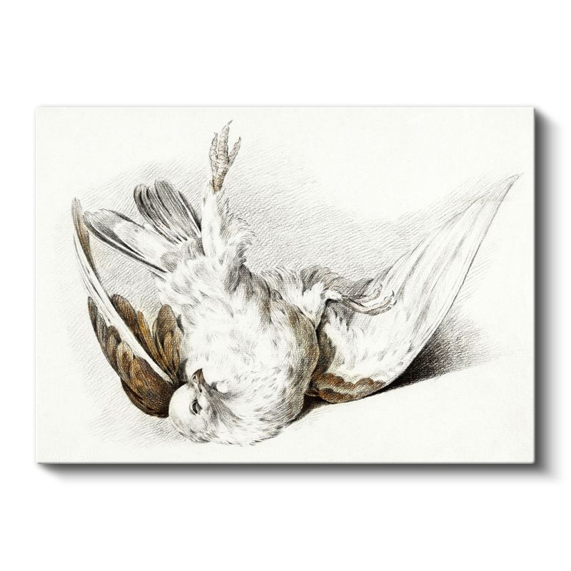 Kanatları Açık Kuş - Klasik Çizim Tekniği Kanvas Tablo