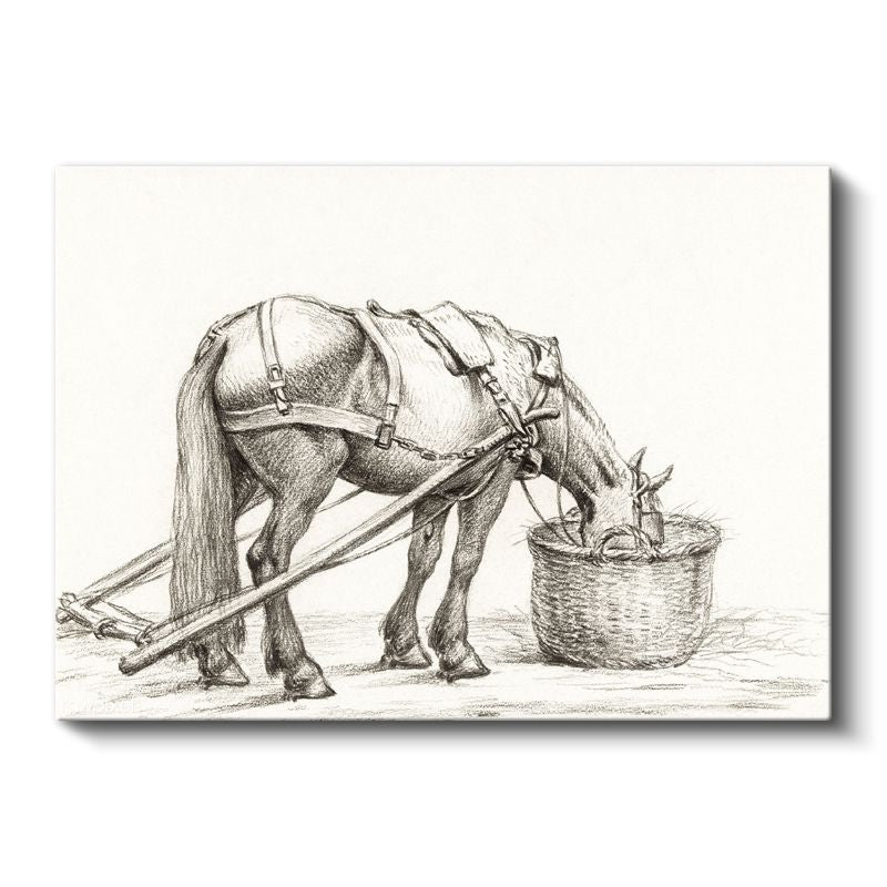 Çiftlik Atı - Yemlenme Anında Karakalem Kanvas Tablo