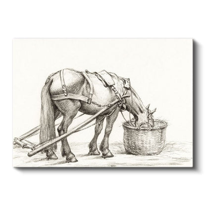 Çiftlik Atı - Yemlenme Anında Karakalem Kanvas Tablo