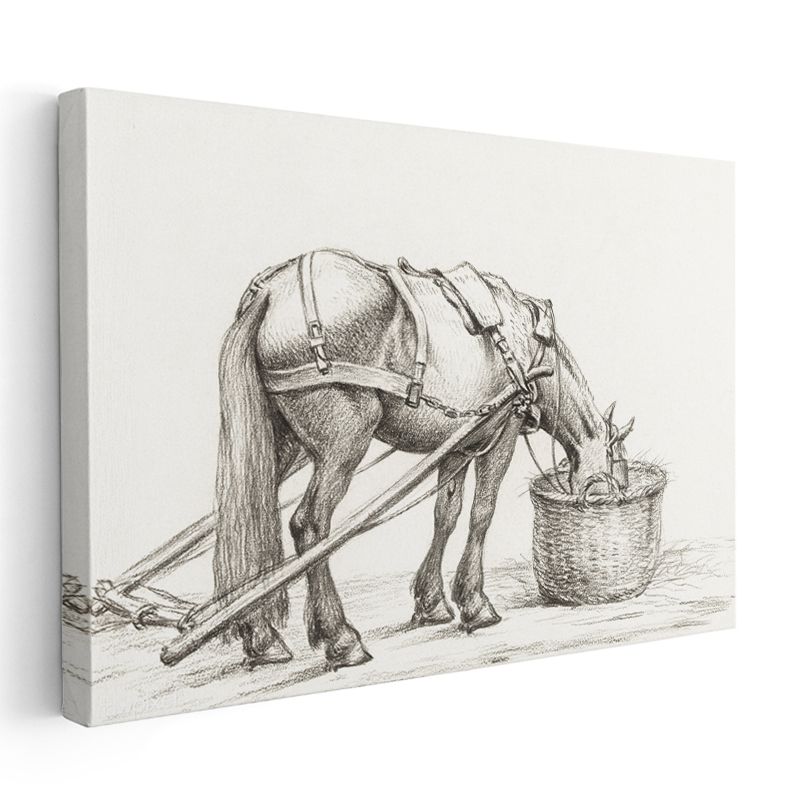 Çiftlik Atı - Yemlenme Anında Karakalem Kanvas Tablo