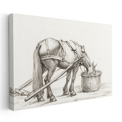 Çiftlik Atı - Yemlenme Anında Karakalem Kanvas Tablo