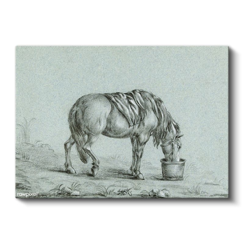 Su İçen At - Kovada Serinleyen Çiftlik Hayvanı Kanvas Tablo