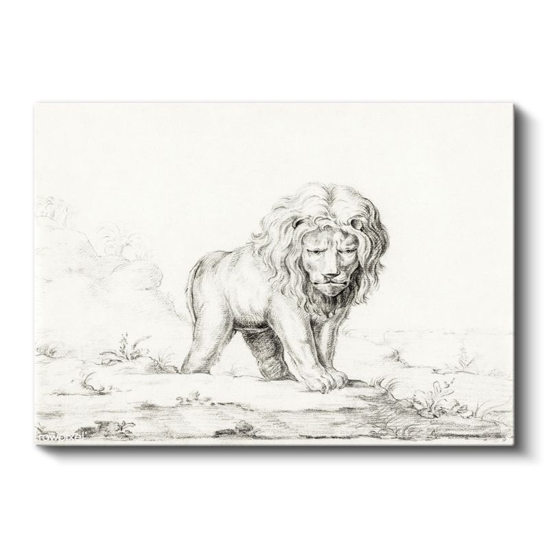 Yürüyen Aslan - Vahşi Doğanın Kralı Kanvas Tablo