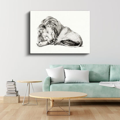 Dinlenen Aslan - Uyku Anında Yaban Hayatı Kanvas Tablo