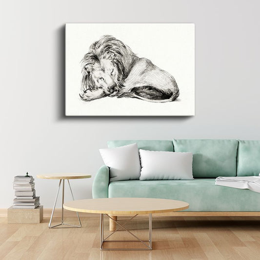 Dinlenen Aslan - Uyku Anında Yaban Hayatı Kanvas Tablo