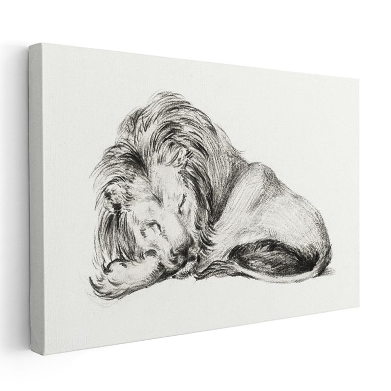 Dinlenen Aslan - Uyku Anında Yaban Hayatı Kanvas Tablo