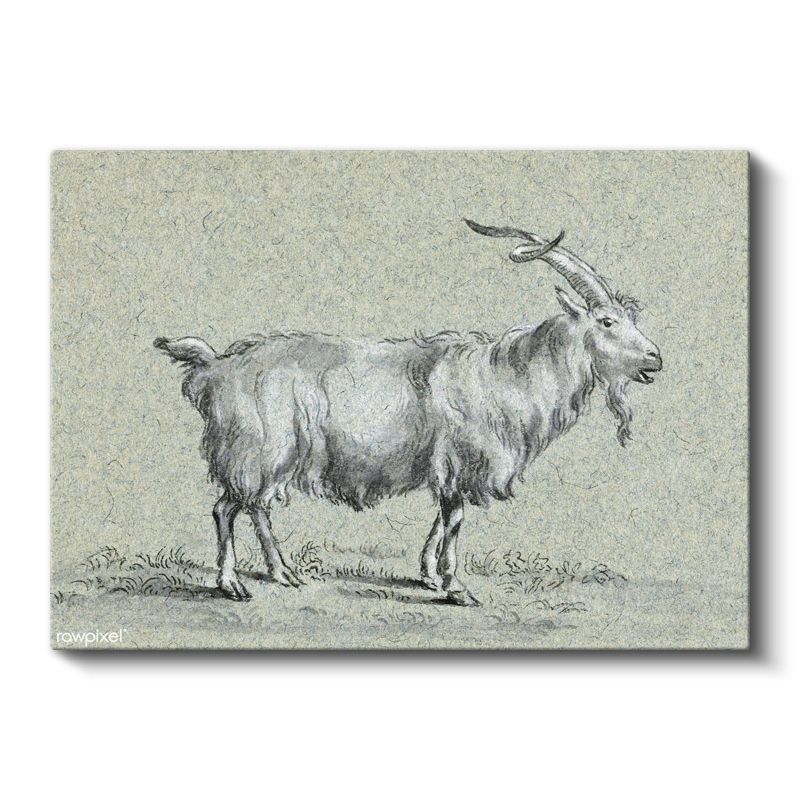 Dağ Keçisi - Doğal Yaşam Alanında Kanvas Tablo