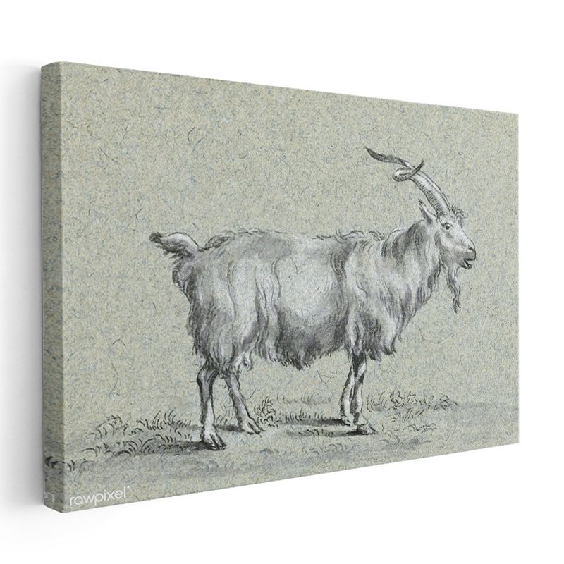 Dağ Keçisi - Doğal Yaşam Alanında Kanvas Tablo