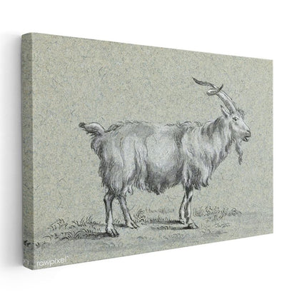 Dağ Keçisi - Doğal Yaşam Alanında Kanvas Tablo