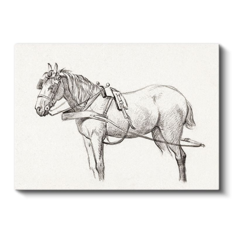 Koşum Takımlı At - Çalışmaya Hazır Çiftlik Hayvanı Kanvas Tablo