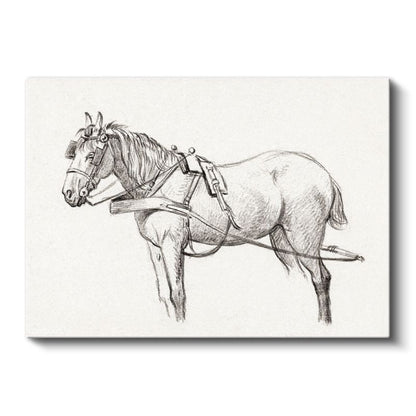 Koşum Takımlı At - Çalışmaya Hazır Çiftlik Hayvanı Kanvas Tablo