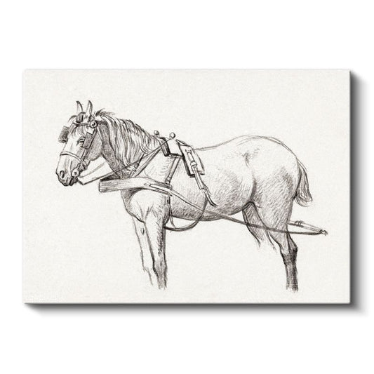 Koşum Takımlı At - Çalışmaya Hazır Çiftlik Hayvanı Kanvas Tablo