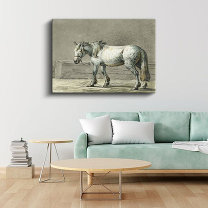 Beyaz Çiftlik Atı - Klasik Karakalem Portre Kanvas Tablo