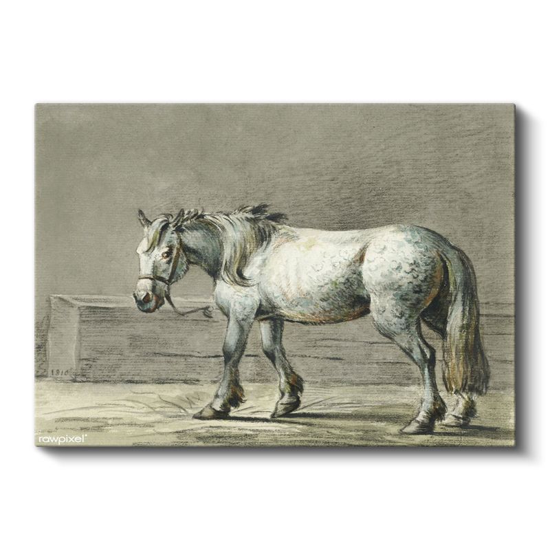 Beyaz Çiftlik Atı - Klasik Karakalem Portre Kanvas Tablo