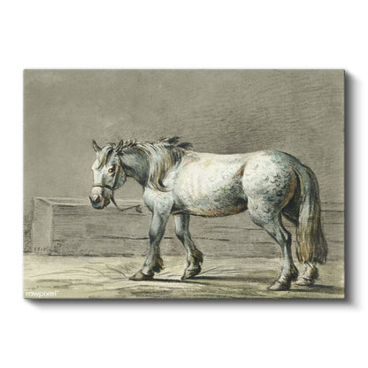Beyaz Çiftlik Atı - Klasik Karakalem Portre Kanvas Tablo