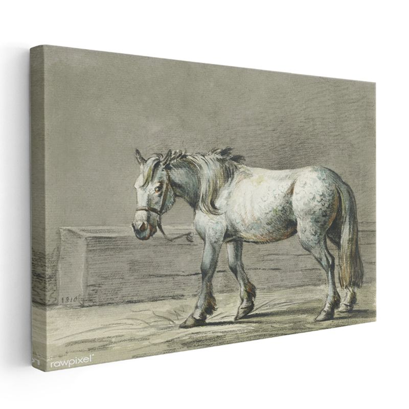 Beyaz Çiftlik Atı - Klasik Karakalem Portre Kanvas Tablo